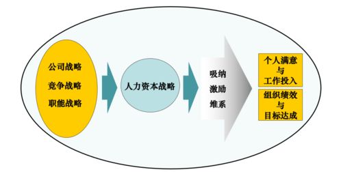 人力資源管理的解構(gòu)與人力資源服務(wù)的良機——楊偉國教授觀點解析