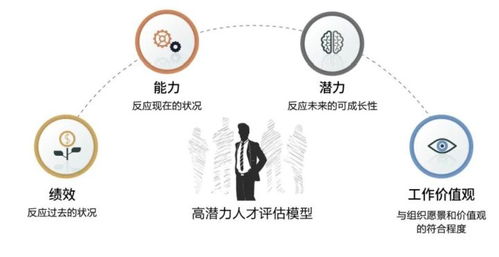精準鎖定企業(yè)中的千里馬 人力資源咨詢服務的策略與路徑