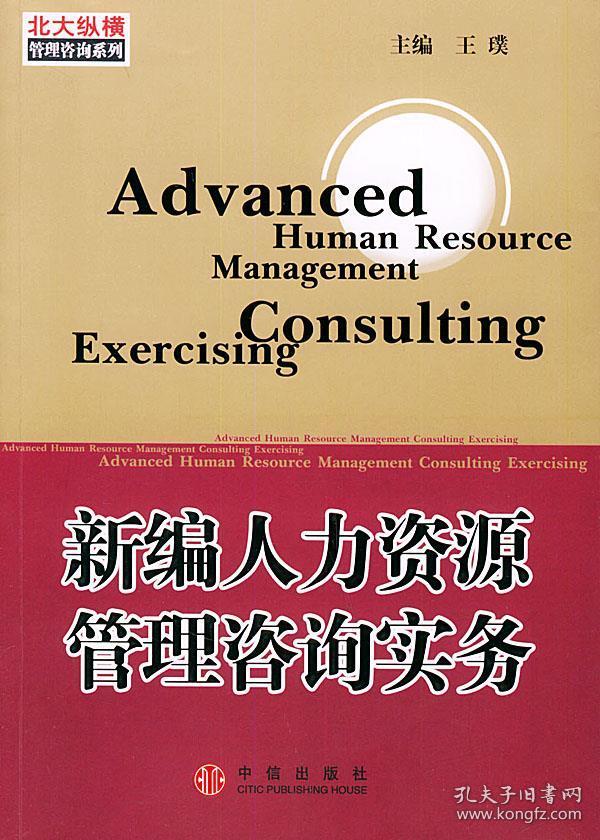 新編人力資源管理咨詢實務 現(xiàn)代企業(yè)必備的服務指南