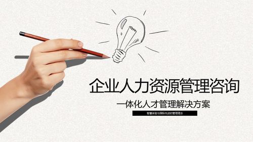 企業人力資源管理咨詢