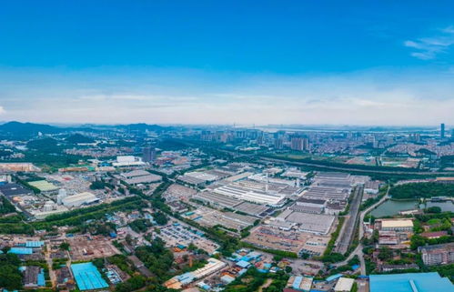 黃埔區(qū)2021年公辦小學(xué)招生地段劃分中的房產(chǎn)信息咨詢(xún)規(guī)定詳解